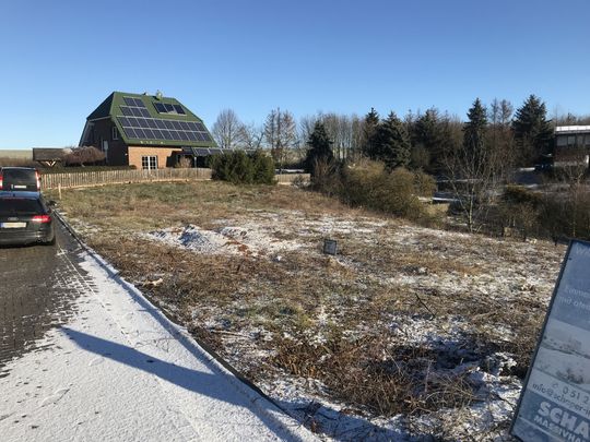 Single mansfelder land